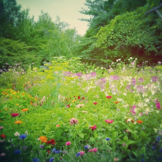 This weekend's Vermont wedding photo location.